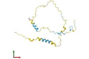 AlphaFold protein structure predicition of Mouse Recombinant Fam219a Protein, UniprotID Q9D772