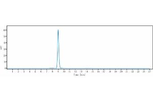 anti-Melanoma Antigen Family A, 4 (MAGEA4) antibody