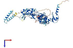 AlphaFold protein structure predicition of Mouse Recombinant Def8 Protein, UniprotID Q99J78