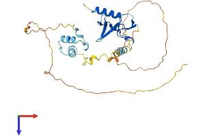 AlphaFold protein structure predicition of Human Recombinant DPPA4 Protein, UniprotID Q7L190