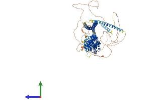 AlphaFold protein structure predicition of Mouse Recombinant Ppfibp2 Protein, UniprotID O35711