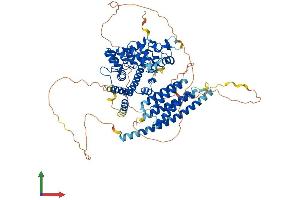 AlphaFold protein structure predicition of Mouse Recombinant Git1 Protein, UniprotID Q68FF6