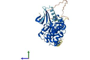 AlphaFold protein structure predicition of Mouse Recombinant Cdkl1 Protein, UniprotID Q8CEQ0