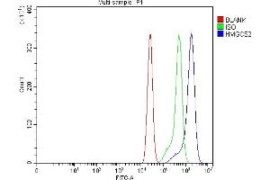 Flow Cytometry analysis of CACO-2 cells using anti-HMGCS2 antibody (ABIN7599435). (HMGCS2 anticorps  (AA 1-487))
