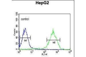 NDUFA10 Antibody (Center) (ABIN653725 and ABIN2843032) flow cytometric analysis of HepG2 cells (right histogram) compared to a negative control cell (left histogram). (NDUFA10 anticorps  (AA 252-281))