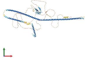 AlphaFold protein structure predicition of Human Recombinant RAB11FIP3 Protein, UniprotID O75154