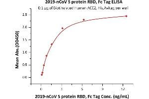 Immobilized Biotinylated Human ACE2, His,Avitag (MALS verified) ( ABIN6952431) at 1 μg/mL (100 μL/well) on streptavidin precoated (0.