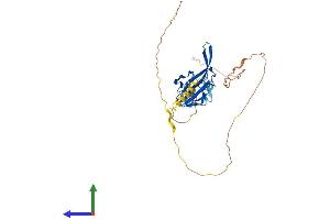 AlphaFold protein structure predicition of Mouse Recombinant Snip1 Protein, UniprotID Q8BIZ6