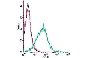 Cell surface detection of P2X1 by indirect flow cytometry in live intact human MEG-01 megakaryocytic leukemia cells:  (black line) Cells.
