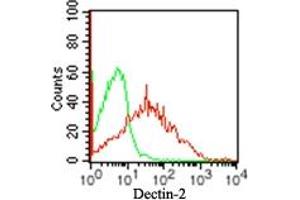 Image no. 3 for anti-C-Type Lectin Domain Family 6, Member A (CLEC6A) (AA 75-125) antibody (ABIN959984)