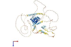 AlphaFold protein structure predicition of Human Recombinant YTHDC1 Protein, UniprotID Q96MU7
