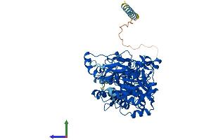 AlphaFold protein structure predicition of Mouse Recombinant Galnt17 Protein, UniprotID Q7TT15