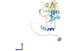 AlphaFold protein structure predicition of Human Recombinant GTF2E2 Protein, UniprotID P29084