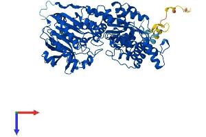 AlphaFold protein structure predicition of Mouse Recombinant Nadsyn1 Protein, UniprotID Q711T7