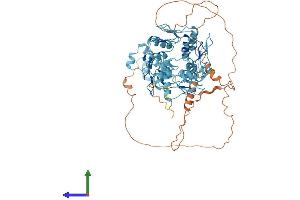 AlphaFold protein structure predicition of Human Recombinant ZNF630 Protein, UniprotID Q2M218