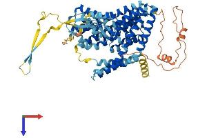AlphaFold protein structure predicition of Human Recombinant SLC1A7 Protein, UniprotID O00341