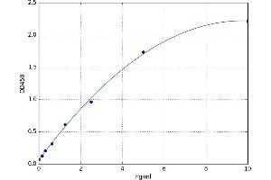 A typical standard curve