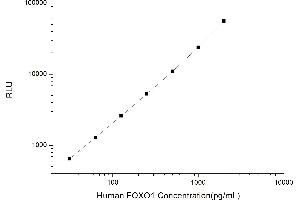 Typical standard curve (FOXO1 Kit CLIA)