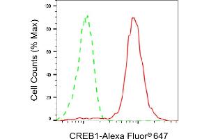 Flow cytometric analysis of CREB1 expression in HepG2 cells using CREB1 antibody (ABIN7797857), 1:2,000). (Recombinant CREB1 anticorps)
