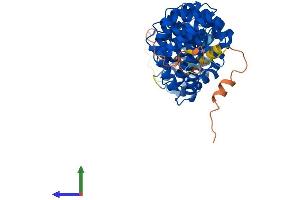 AlphaFold protein structure predicition of Mouse Recombinant Kpna7 Protein, UniprotID C0LLJ0