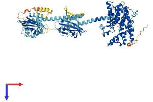 AlphaFold protein structure predicition of Mouse Recombinant Pde10a Protein, UniprotID Q8CA95
