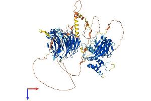 AlphaFold protein structure predicition of Human Recombinant HIRA Protein, UniprotID P54198