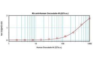 Image no. 3 for anti-Oncostatin M (OSM) antibody (ABIN465830) (Oncostatin M anticorps)
