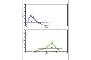 Flow Cytometry (FACS) image for anti-Adaptor-Related Protein Complex 2, alpha 2 Subunit (AP2A2) antibody (ABIN3003799)