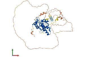 AlphaFold protein structure predicition of Mouse Recombinant Nfic Protein, UniprotID P70255