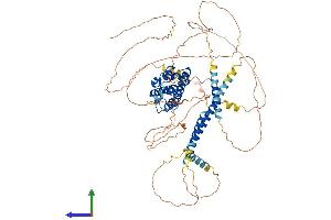 AlphaFold protein structure predicition of Mouse Recombinant Prox1 Protein, UniprotID P48437