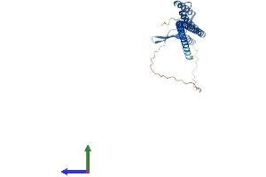AlphaFold protein structure predicition of Human Recombinant DNALI1 Protein, UniprotID O14645