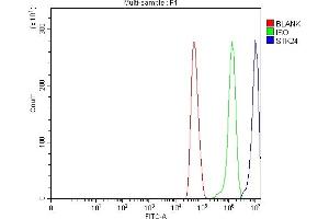 Flow Cytometry analysis of U251 cells using anti-MST3/STK24 antibody (ABIN7599389).