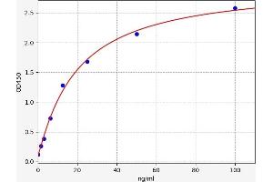 Typical standard curve (Prostaglandin E Synthase Kit ELISA)
