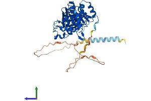AlphaFold protein structure predicition of Human Recombinant PTPN1 Protein, UniprotID P18031