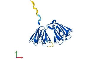 AlphaFold protein structure predicition of Human Recombinant CRYBA2 Protein, UniprotID P53672