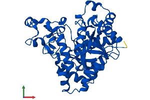 AlphaFold protein structure predicition of Mouse Recombinant Pter Protein, UniprotID Q60866