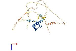AlphaFold protein structure predicition of Human Recombinant PITX3 Protein, UniprotID O75364