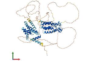 AlphaFold protein structure predicition of Mouse Recombinant Samd4a Protein, UniprotID Q8CBY1