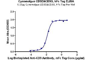 Immobilized Cynomolgus CD3E&CD3G, hFc Tag at 0.