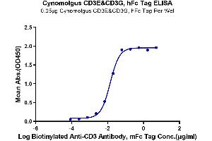 Immobilized Cynomolgus CD3E&CD3G, hFc Tag at 0. (CD3E & CD3G (AA 22-117) protein (Fc Tag))