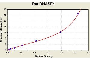 Diagramm of the ELISA kit to detect Rat DNASE1with the optical density on the x-axis and the concentration on the y-axis. (DNASE1 Kit ELISA)