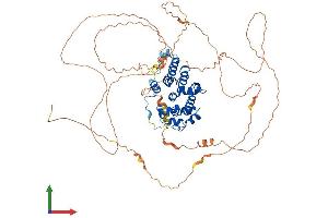 AlphaFold protein structure predicition of Human Recombinant OGFR Protein, UniprotID Q9NZT2