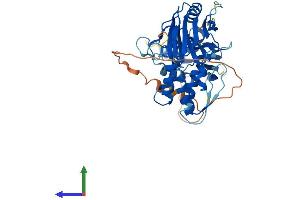 AlphaFold protein structure predicition of Human Recombinant IRF3 Protein, UniprotID Q14653