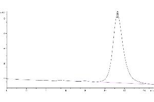 The purity of Mouse IL-17RB is greater than 95 % as determined by SEC-HPLC. (IL17 Receptor B Protein (AA 18-286) (His tag))