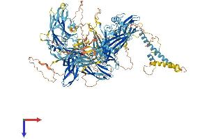 AlphaFold protein structure predicition of Human Recombinant NPHP4 Protein, UniprotID O75161