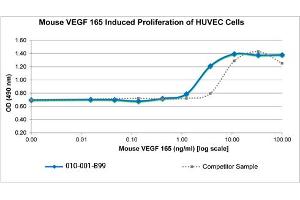SDS-PAGE of Mouse Vascular Endothelial Growth Factor-165 Recombinant Protein Bioactivity of Mouse Vascular Endothelial Growth Factor-165 Recombinant Protein. (VEGF 165 Protéine)