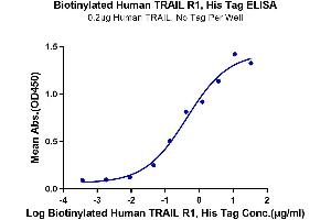 Immobilized Human TRAIL, No Tag at 2 μg/mL (100 μL/well) on the plate.