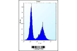 Flow cytometric analysis of Ramos cells (right histogram) compared to a negative control cell (left histogram).