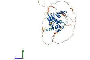 AlphaFold protein structure predicition of Mouse Recombinant Rnf25 Protein, UniprotID Q9QZR0