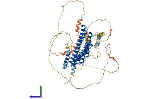 AlphaFold protein structure predicition of Mouse Recombinant Fam114a1 Protein, UniprotID Q9D281
